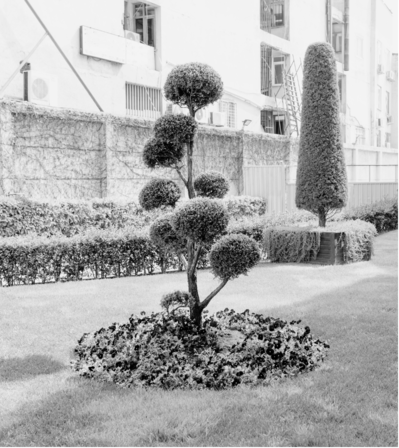 Paisajismo para viviendas Chiva